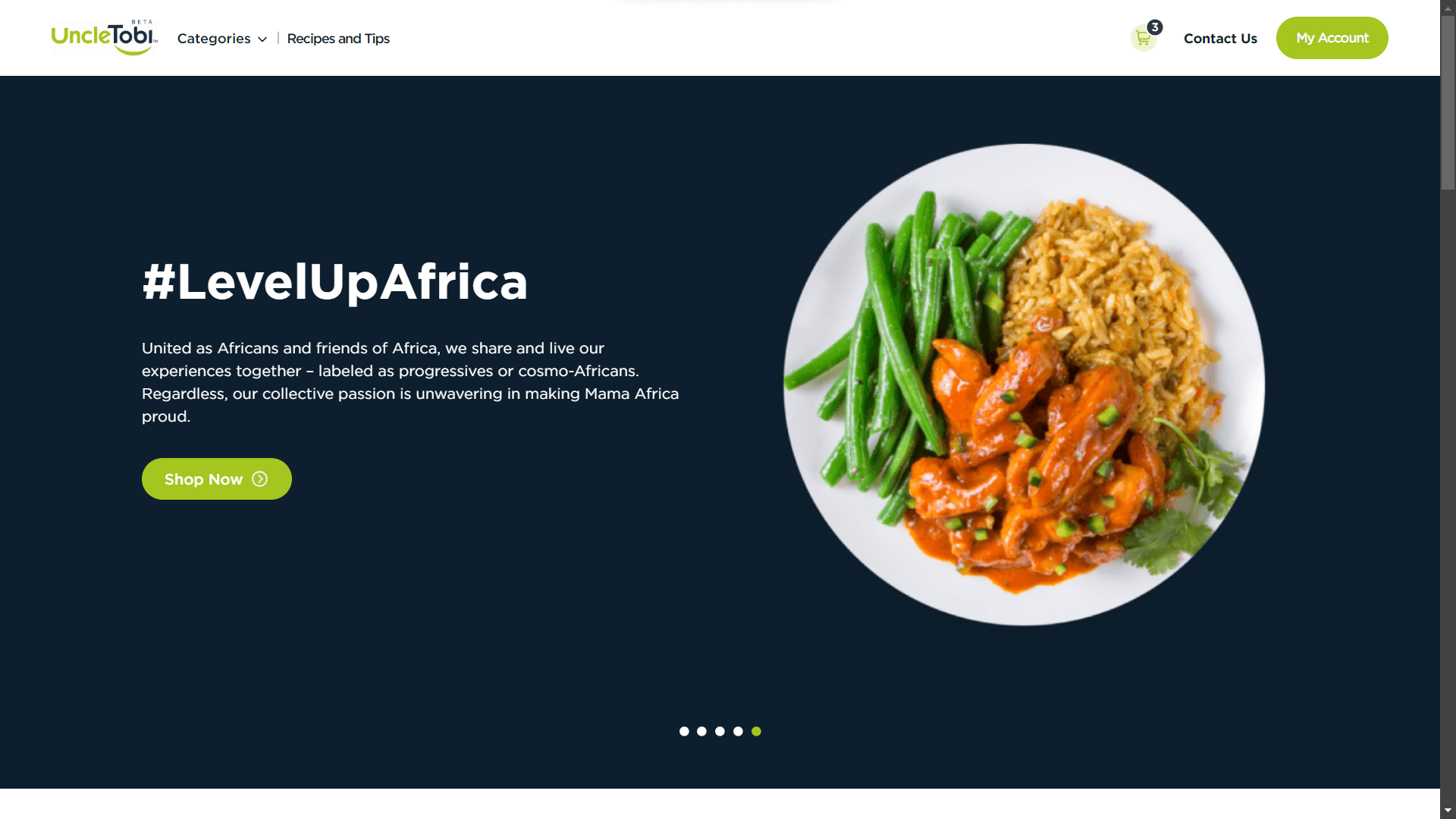 Uncle Tobi Shop project